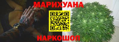 прущие крисы Новозыбков