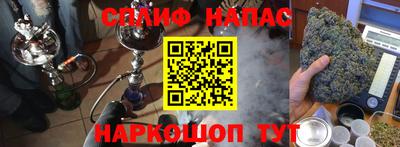 прущие крисы Новозыбков