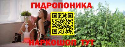 соль ск Обнинск