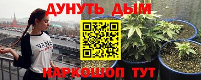 прущие крисы Новозыбков