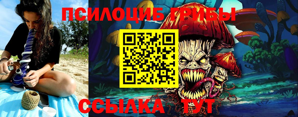 Унеча  Галлюциногенные грибы Psilocybe  продажа наркотиков  Вход с VPN 